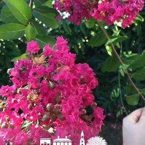 Meet your Posher, Oceanna